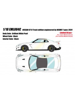 Nissan GT-R Track edition engineered by NISMO T-spec 2024 1/18 Make-Up Eidolon Make Up - 1