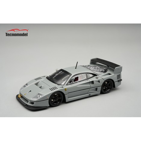 Ferrari F40 LM 1996 Press version (Grigio Medio) 1/43 Tecnomodel Tecnomodel - 1
