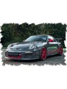 Porsche 911(997.2) GT3 RS 2010 (Gray Black / Red Stripe) 1/43 Make Up Eidolon Make Up - 2