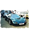 Mclaren F1 XP5 (Metallic Dark Green) 1/43 Make Up Eidolon Make Up - 2