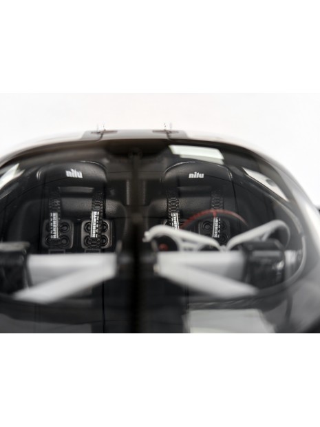 Nilu27 1/18 FrontiArt FrontiArt - 9