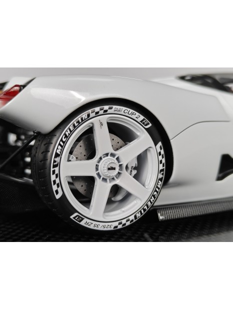 Nilu27 1/18 FrontiArt FrontiArt - 14