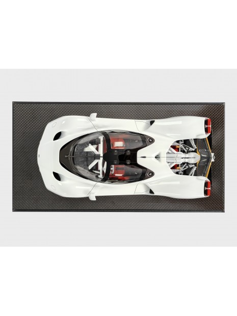 Nilu27 1/18 FrontiArt FrontiArt - 15