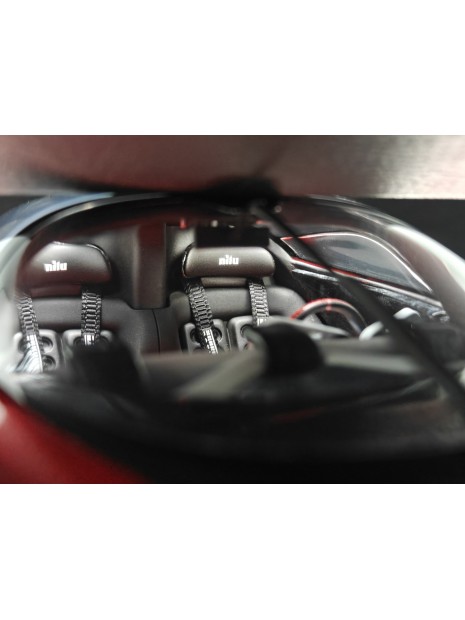 Nilu27 SUMAC 1/18 FrontiArt FrontiArt - 10