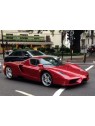 Ferrari Enzo (F1 2007 Red) 1/18 BBR BBR Models - 1