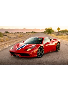 Ferrari 458 Speciale (Rosso Corsa) 1/12 Looksmart Looksmart - 1