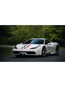 Ferrari 458 Speciale (Bianco Fuji) 1/12 Looksmart Looksmart - 1