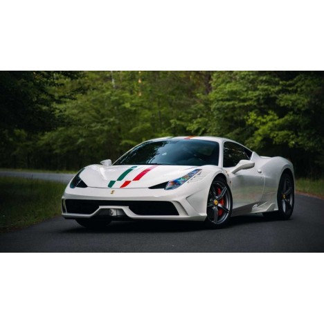 Ferrari 458 Speciale (Bianco Fuji) 1/12 Looksmart Looksmart - 1